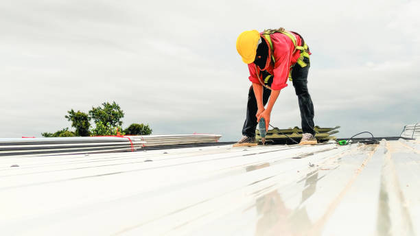 Best Roof Moss and Algae Removal  in Cherry Valley, IL