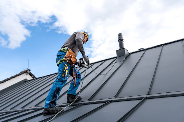 Best Sheet Metal Roofing  in Cherry Valley, IL